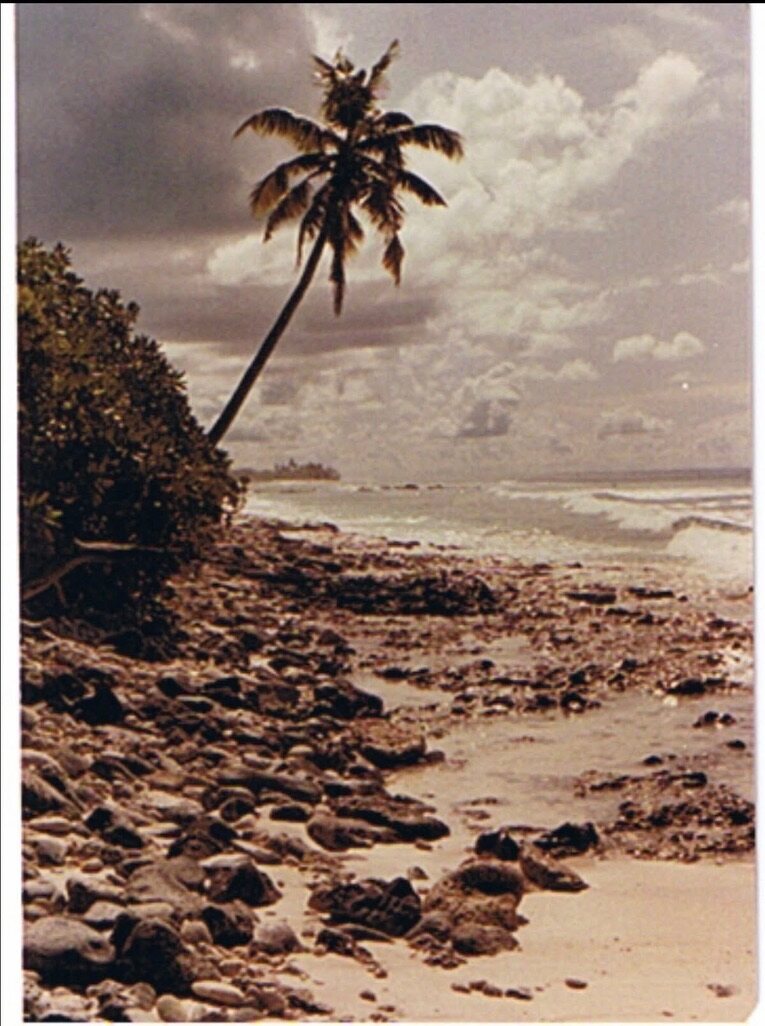 Rocky tropical shoreline and leaning palm tree at Diego Garcia